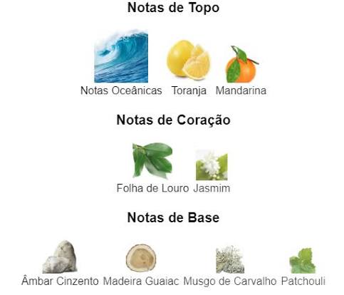 Pirâmide Olfativa (Perfume Inspirado)